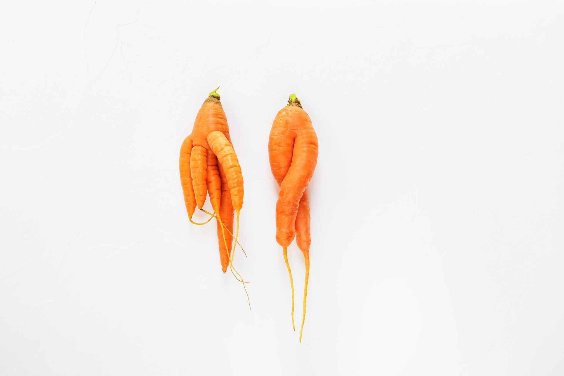 UNA ZANAHORIA DE TRES PATAS DE ORIGEN LOCAL QUE CAMBIÓ MI MANERA DE COMPRAR Y CONSUMIR