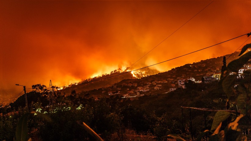 PREVENIR LOS INCENDIOS FORESTALES. UN RETO COLECTIVO PARA EL SIGLO XXI