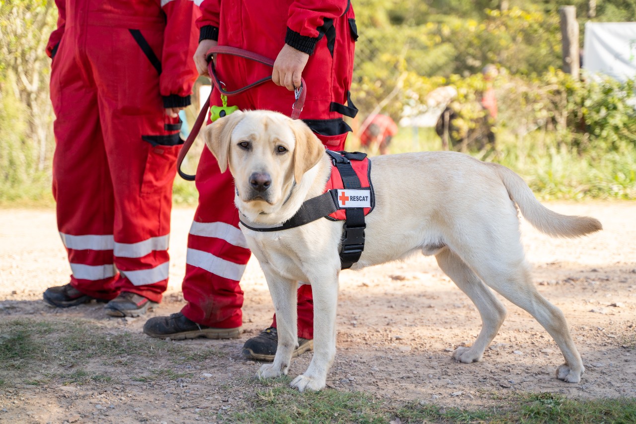Algo más que amigos