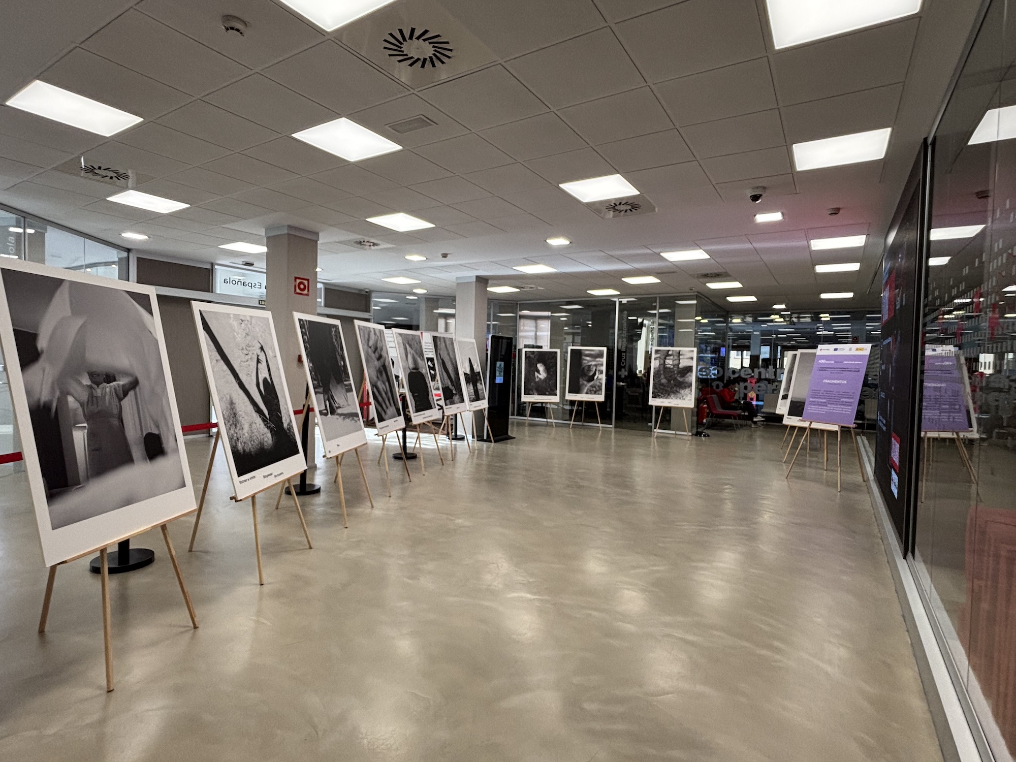 Mujeres supervivientes a la violencia de género y empleo: Exposición de fotos 