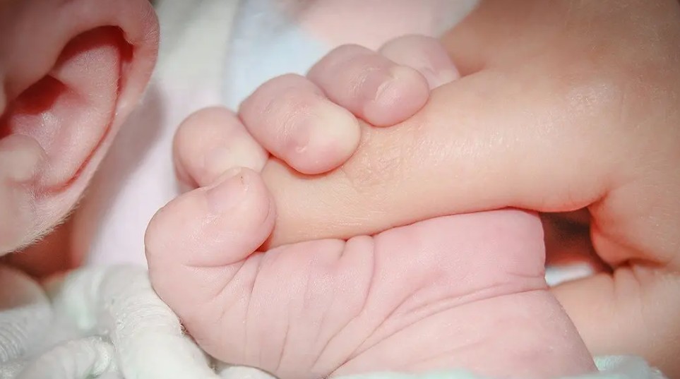 Cruz Roja busca hogares de acogida para 73 menores en Galicia