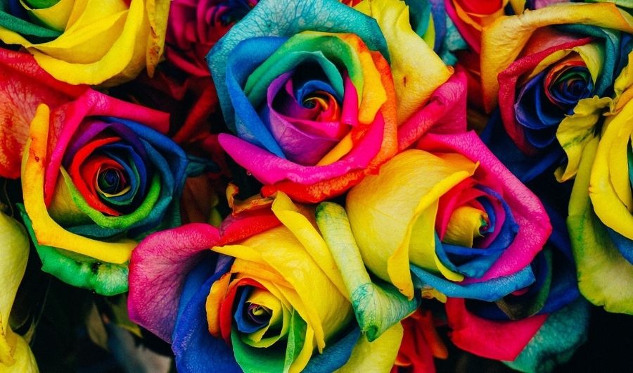 LGTBIQ+: Más de cuatro décadas de lucha por la igualdad plena