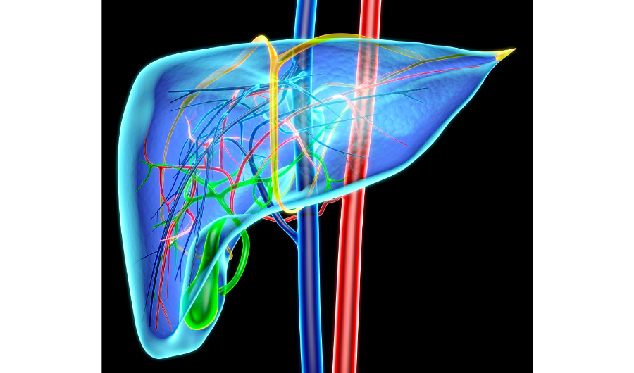 Hepatitis vírica: una infección peligrosa
