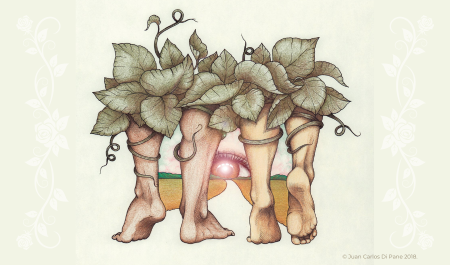 La figura del Par frente al VIH