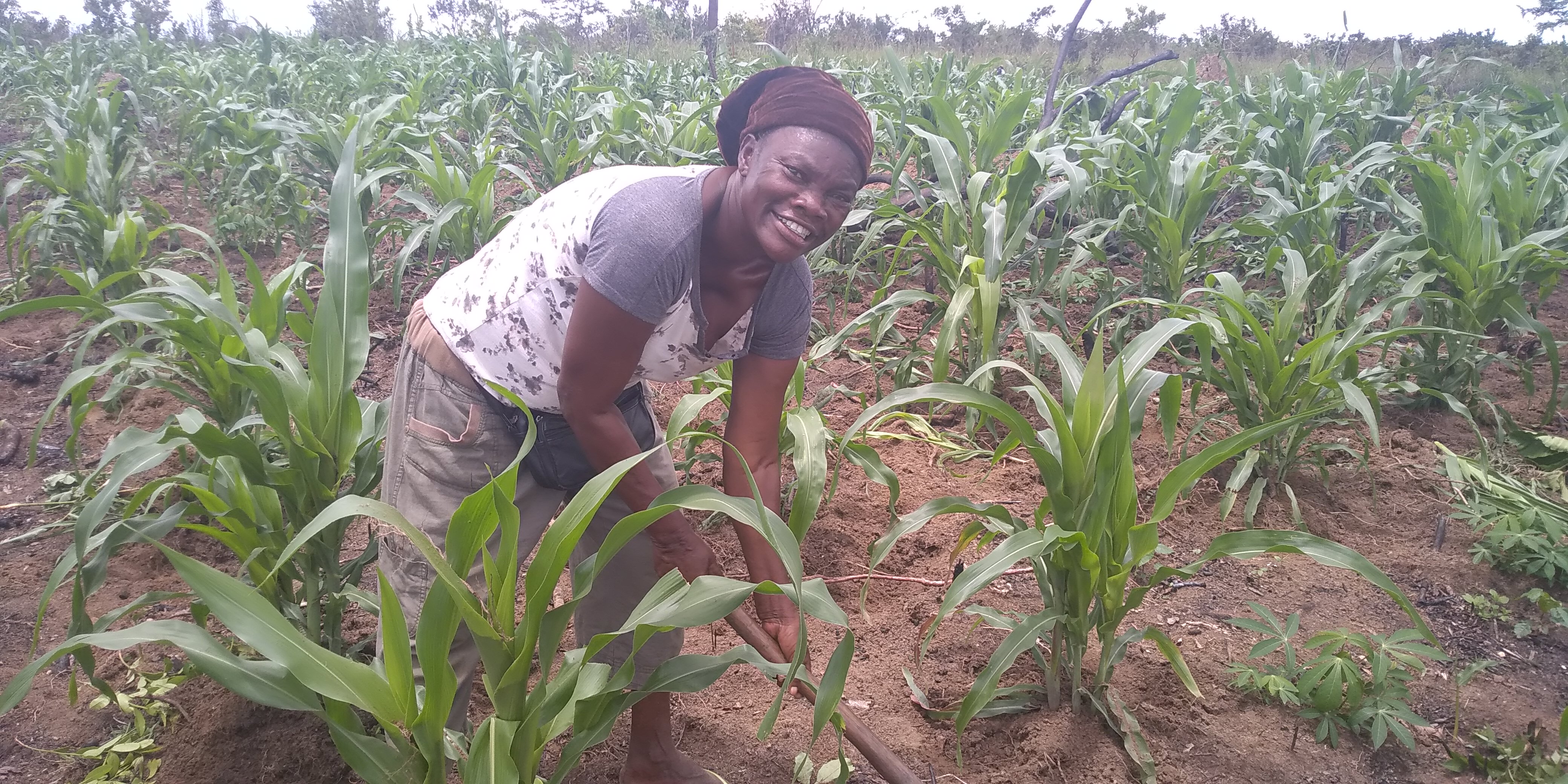 20191105 ActCom Mpia.jpg