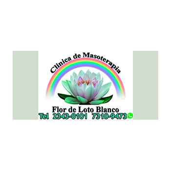 masoterapia flor de loto blanco logo