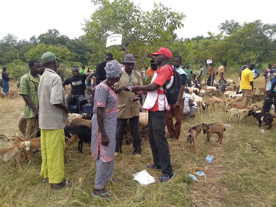 Feria de animales para asegurar los medios de vida y la seguridad alimentaria
