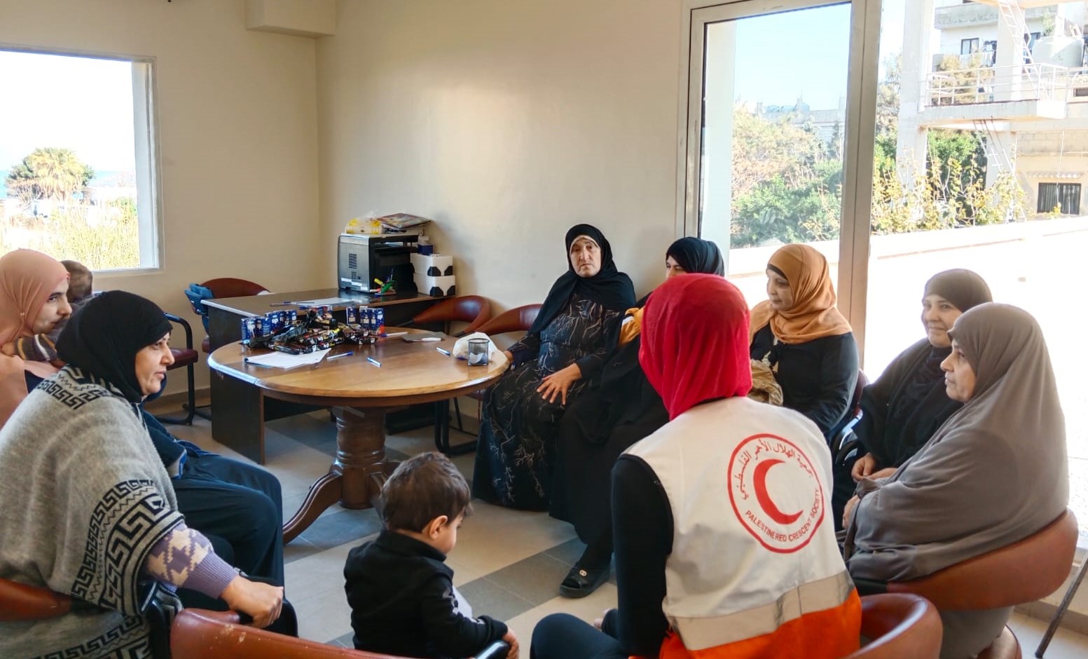 Palestina y Líbano - Cruz Roja apoya la respuesta humanitaria: artículos de primera necesidad y servicios básicos esenciales