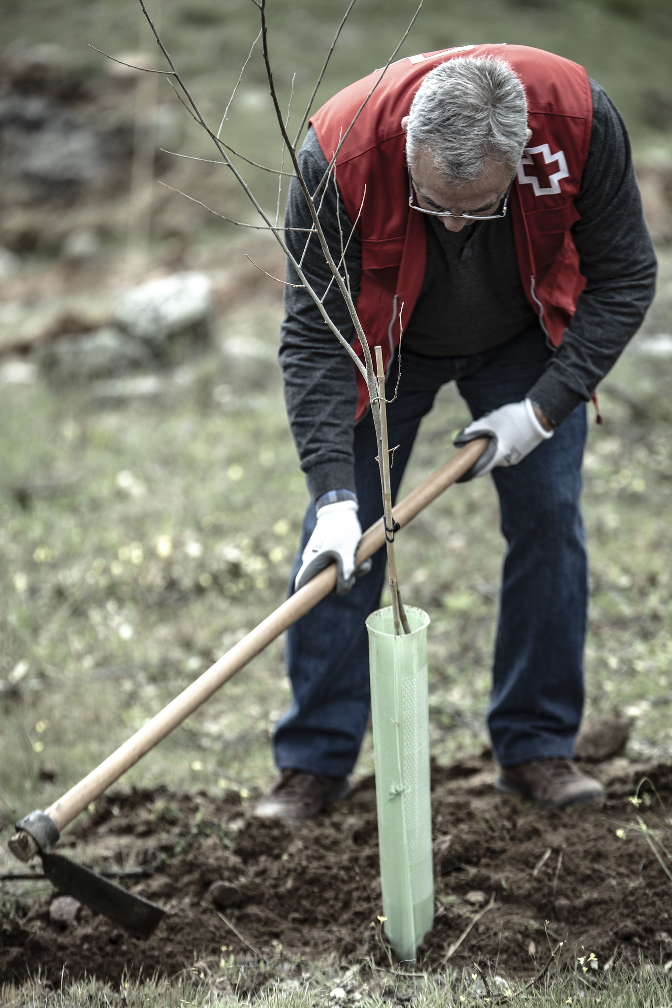 Cruz Roja, primera organización humanitaria en obtener el sello ‘Compenso’