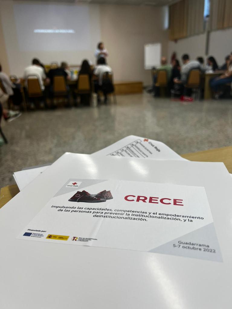 CRECE: el proyecto de Cruz Roja para prevenir la institucionalización