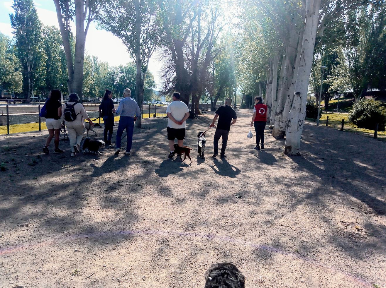 Cruz Roja apuesta por CRECE para evitar y retrasar la institucionalización de las personas