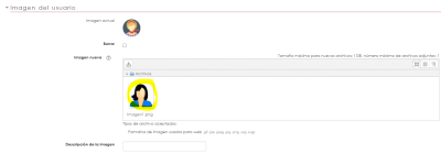 Área donde cambiar la imagen de perfil
