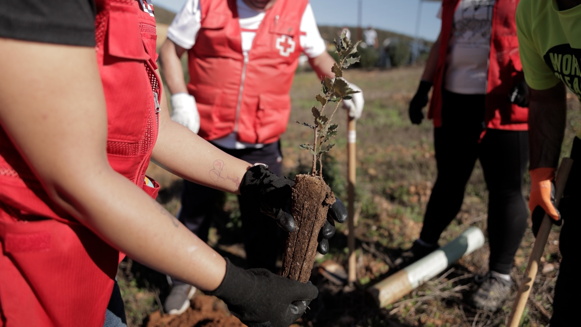 Cruz Roja advierte: España entra en déficit ecológico el 20 de mayo, actuemos para salvar el planeta