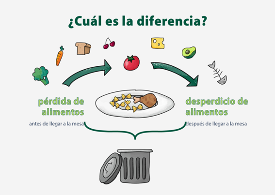 Pérdida y el desperdicio de alimentos ¿Sabrías diferenciar entre estos dos conceptos?