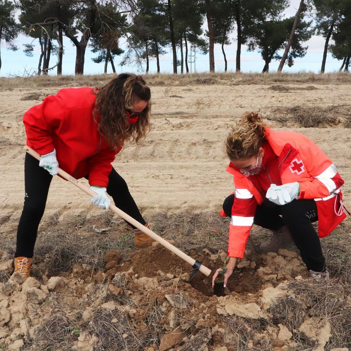 Un paso más hacia la neutralidad climática para el 2030
