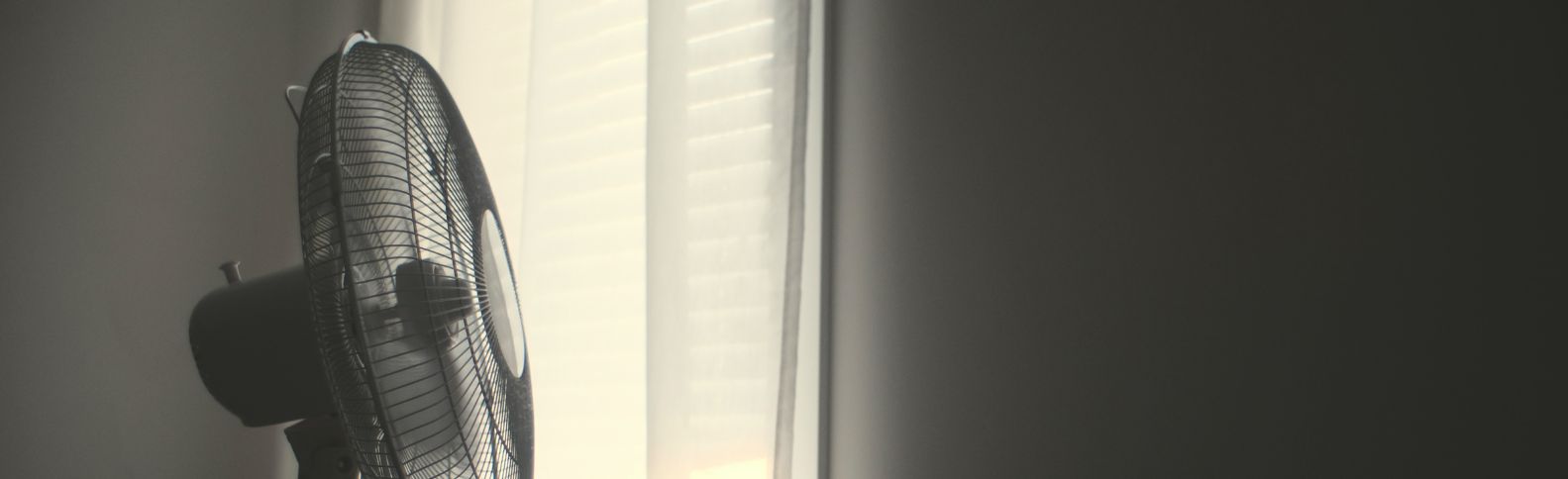 Ayudas y acompañamiento para hacer frente a la ola de calor