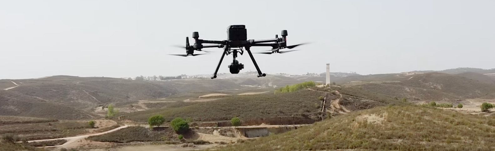 Bosques, datos, futuro