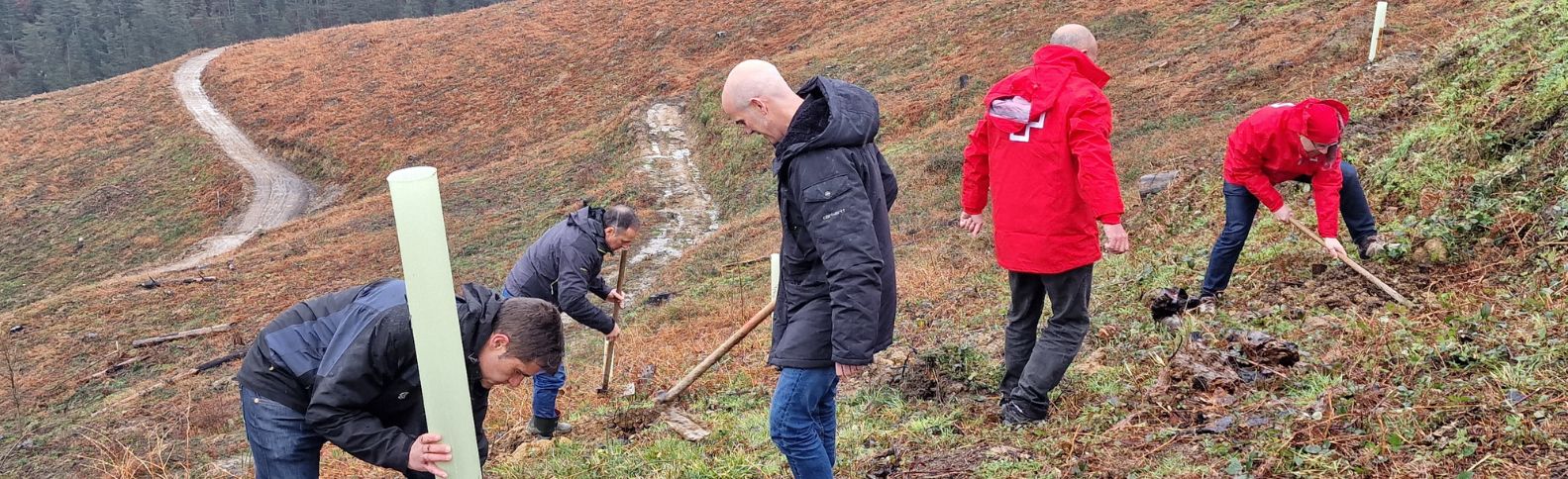 Más de cien personas voluntarias reforestarán un bosque en Bizkaia