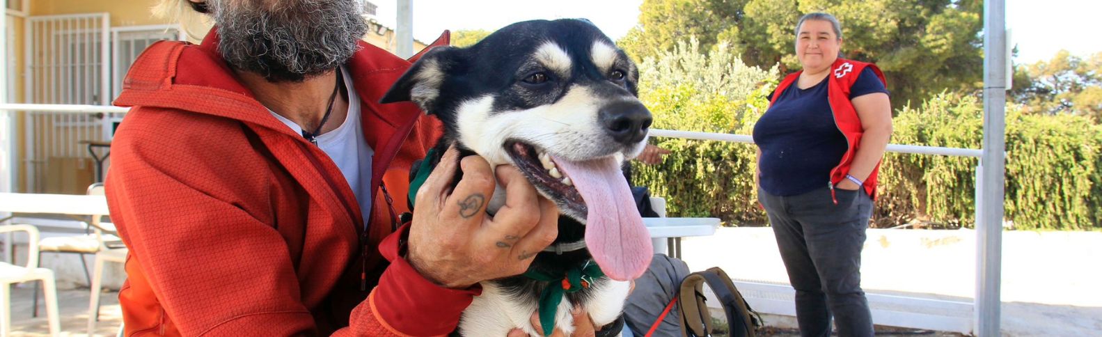 “Sus mascotas son su familia”