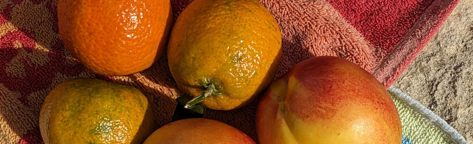 Hábitos saludables para los días de calor