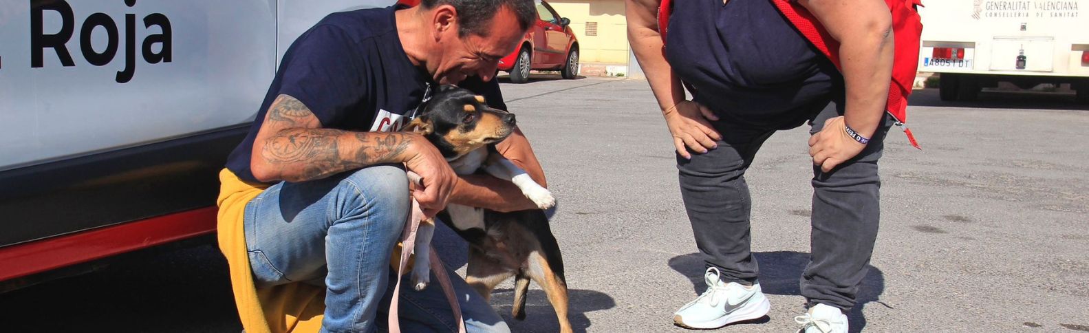 Héroes peludos de cuatro patas, mucho más que unas mascotas